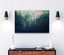 Obraz na stenu Ranná hmla nad lesom, forest in morning mist